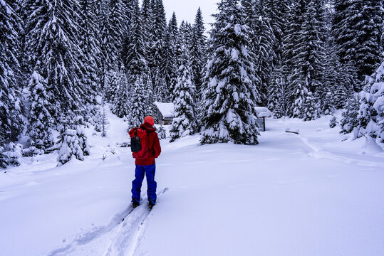 Skier in a red jacket walking through a snowy forest