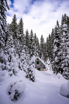 View of a forest cottage under deep snow