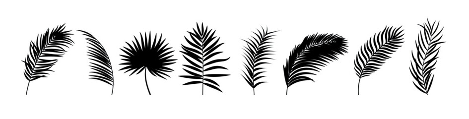 Adobe Illustrator Artwork © Stepan
