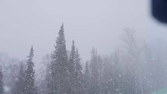 Thick Snow Covers Trees. Blizzard Wraps Forest In White Shroud. Falling Snow Masks Trees And Forest Edge Here. Dense Snowfall Creates Hazy Veil Over Wooded Landscape And Surroundings