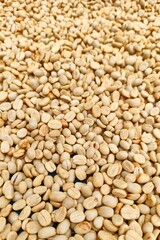 Fototapeta premium Close up of coffee beans for background