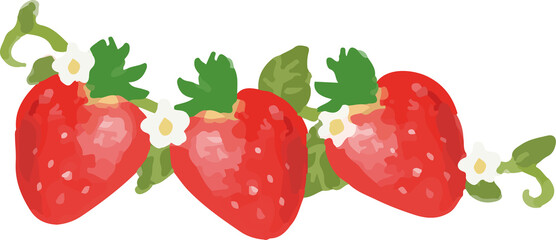 딸기 © 김 수현