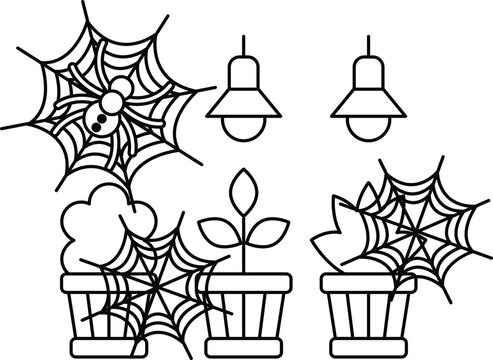 Spiders weave intricate webs above potted plants