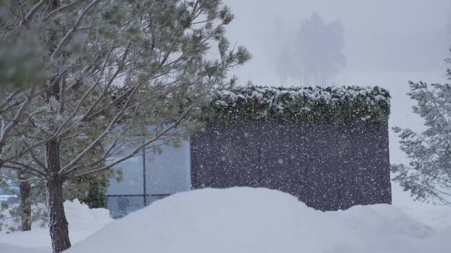 Cold Landscape With Snowcovered Trees. Quiet Scene Of Snowladen Fence And Evergreen Trees During Winter. Calm Winter Tableau Showcasing Snowblanketed Fence Alongside Tall Pine Trees