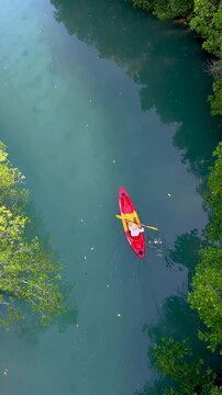 Experience the serenity of Koh Phayam as a kayaker glides through the crystal-clear waters. Lush trees frame the scene, creating a peaceful escape in Thailand natural beauty.