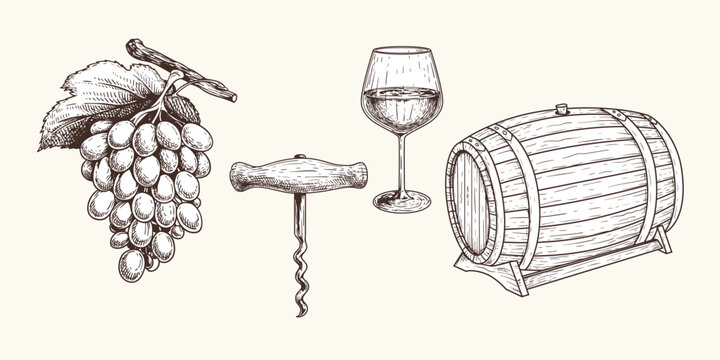 Wine hand drawn sketch style. Bottle, glasses, grape vine, barrel, corkscrew. Vector illustrations isolated design elements.