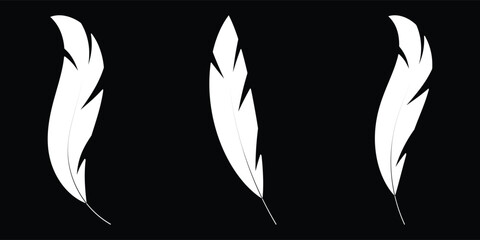 Set of white bird feather silhouettes isolated on black background © RadiantForms