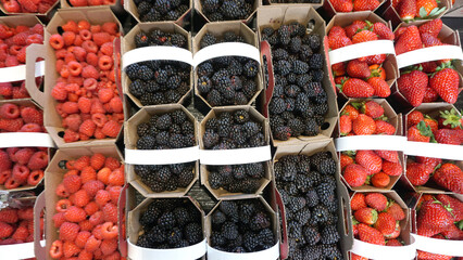berries in the market © Edgar YK