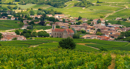 Naklejka premium Village in France in green vineyard