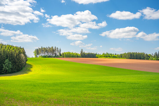 Rolling agricultural landscape shows fields of green grass and red clay soil near Nova Paka in Czechia. Clear blue sky with white clouds floats above the fields, indicating daytime.