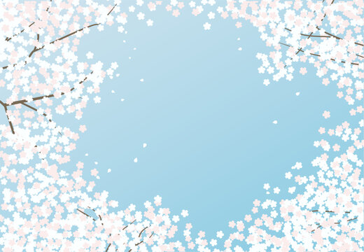 桜の花びらが舞う春の背景イラスト素材 ベクター 青空