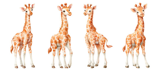 Giraffe calfs portraying innocence and natural african wildlife, standing with their distinctive spotted patterns and long necks, created as an adorable watercolor illustration © Narin
