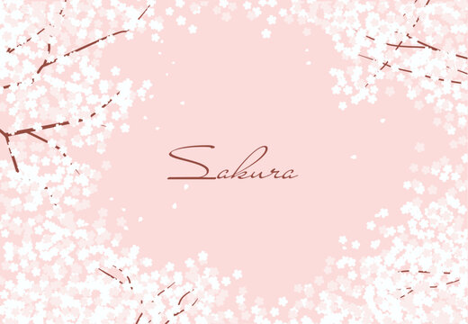桜の花が舞う春の背景イラスト素材 ベクター ピンク
