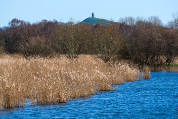 Lake and reeds in the wetlands on the Somerset Levels, England, with Glastonbury tor in the background © Alan