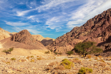 Fototapeta premium Dry river bed. Desert mountain landscape.