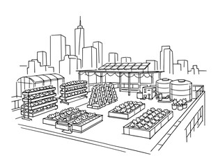Fototapeta premium Urban rooftop garden for sustainable farming in city line art sketch