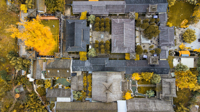 Ancient Temple with 1400-Year-Old Ginkgo Trees in Autumn - Aerial View