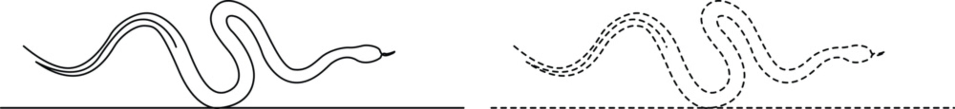 Comparison of leaf venation patterns and stem attachment between two plant illustrations Vector