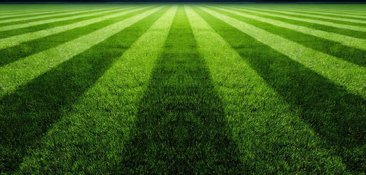 Vibrant Green Lawn with Perfectly Striped Pattern and Dramatic Shadows.