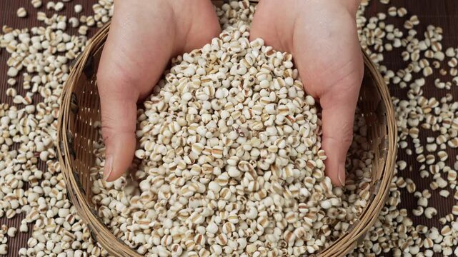 Hands holding cereal grains in a harvest basket