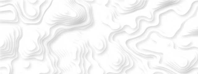 Abstract background vector Abstract wavy line 3d paper cut white background. Abstract pattern with lines. Abstract sea map geographic contour map and topographic contours map background. © armans