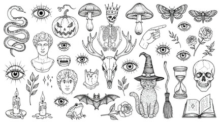 Halloween themed illustrations including witch hat, pumpkin, skeleton, eye, bat, and mushroom on white background © S.Siam