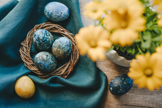 Colored Easter eggs with natural dye in nest and yellow flowers
