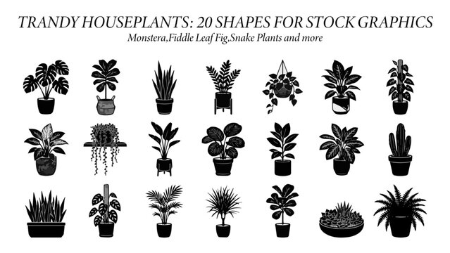 set of trandy houseplants