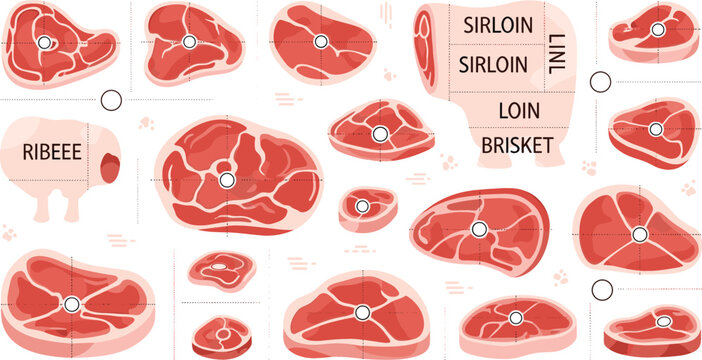 Beef Cuts Diagram with Labeled Steak Sections Including Ribeye Sirloin Loin and Brisket for Butchery Guide Meat Chart Illustration