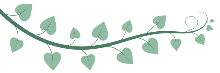 A stylized green vine with heart shaped leaves on a white background © tarek