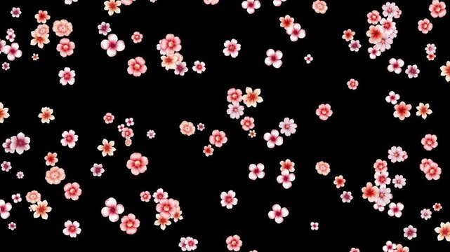 flower fall loop background. alpha.