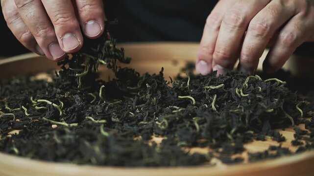 Artisanal hands gently sifting exquisite loose leaf tea on a rustic wooden tray, a timeless ritual of craftsmanship