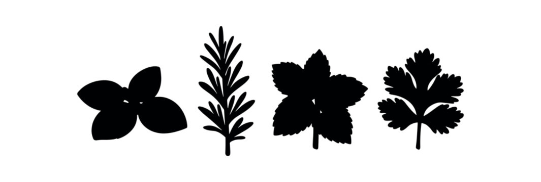 Four black silhouette herb leaves including basil, rosemary, mint, and cilantro.