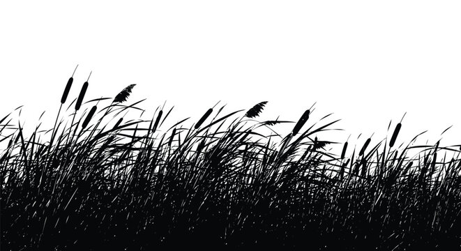 Clean vector illustration featuring a nature silhouette of wild cattail reeds and tall grass against a pure white background.