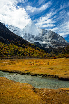 Beautiful Scenic of Luorong Grassland in Yading Nature Reserve