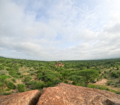 View of Sera's wilderness from the top of a kopje in Samburu, Kenya.