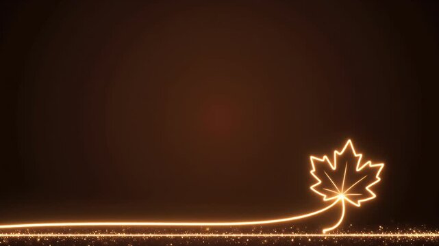 Illuminated Maple Leaf Light Trail on Dark Road in Nighttime Long Exposure