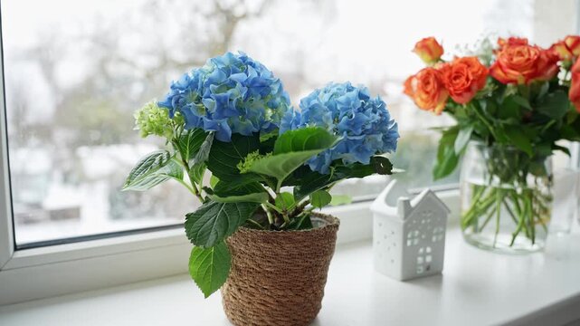 Cozy windowsill scene with blue hydrangea in a rustic pot, a small house decor piece, and orange roses in a glass vase. Soft winter bokeh outside, bright natural light and copy space.