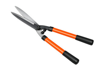 Fototapeta premium Hedge shears tool for trimming garden hedges