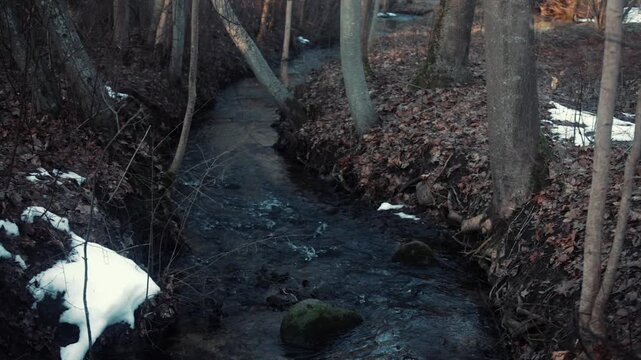 forest river
