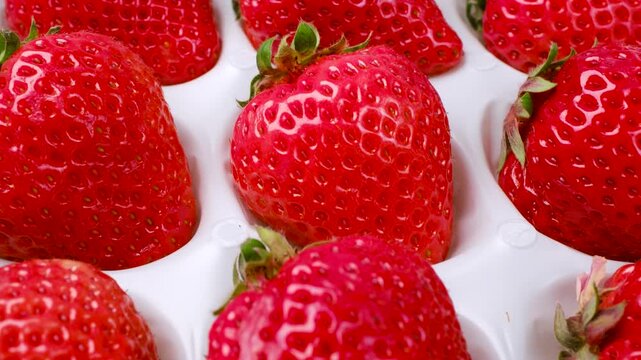 箱に並んだあまおう苺（ズームイン）