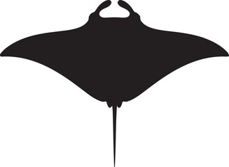 Manta Ray in silhouette on white background. © Faisal