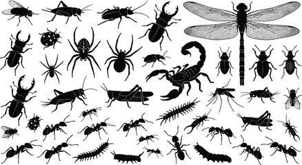 Detailed insect silhouettes collection with dragonfly, beetle, spider and scorpion, wildlife illustration set, entomology study, black design, nature diversity and species variety © Md Obaydul Haque