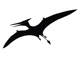 Black silhouette illustration of a Pterodactyl flying, prehistoric reptile, illustration represents the ancient flying dinosaur © Shohag