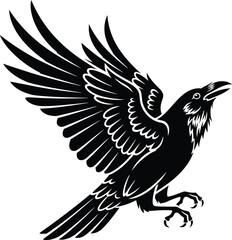 Obraz premium A black raven in mid flight with wings spread wide and beak open