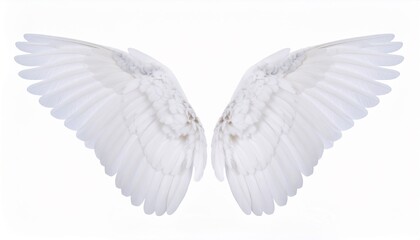 Fototapeta premium White angel wings isolated background.