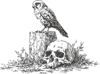Fototapeta premium raven perched on wooden stump with human skull and grass, vintage monochrome illustration