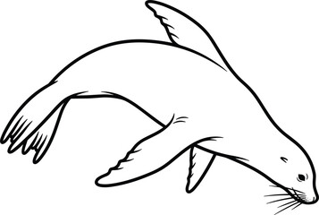 Hand Drawn Seal Line Art Vector Illustration, Marine Mammal Outline Sketch, Ocean Animal Minimal Clipart Design © Romana