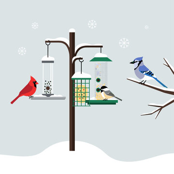 Minimalist Flat Vector Winter Bird Feeder Station Illustration