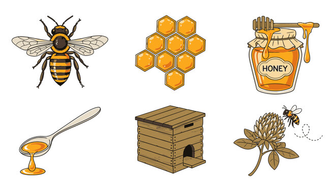 Honey bee on flower collecting nectar.